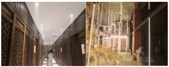 1671670560504070.png 圖片.png